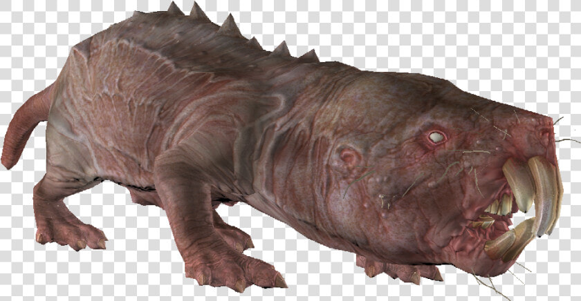 Encmolerat01template   Naked Mole Rat Fallout 4  HD Png DownloadTransparent PNG