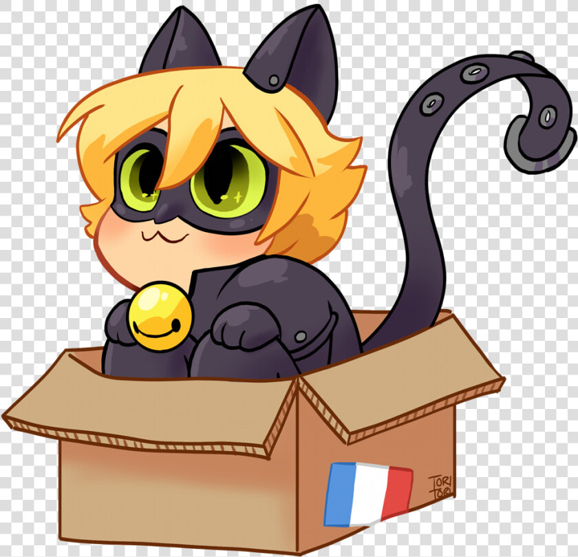 Adrien  ￼chat Noir  And Miraculous Ladybug Image   Ladybug And Cat Noir Fanart  HD Png DownloadTransparent PNG