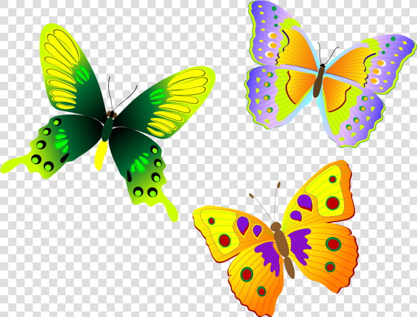 Monarch Butterfly Euclidean Vector   Clip Art Butterfly Design  HD Png DownloadTransparent PNG