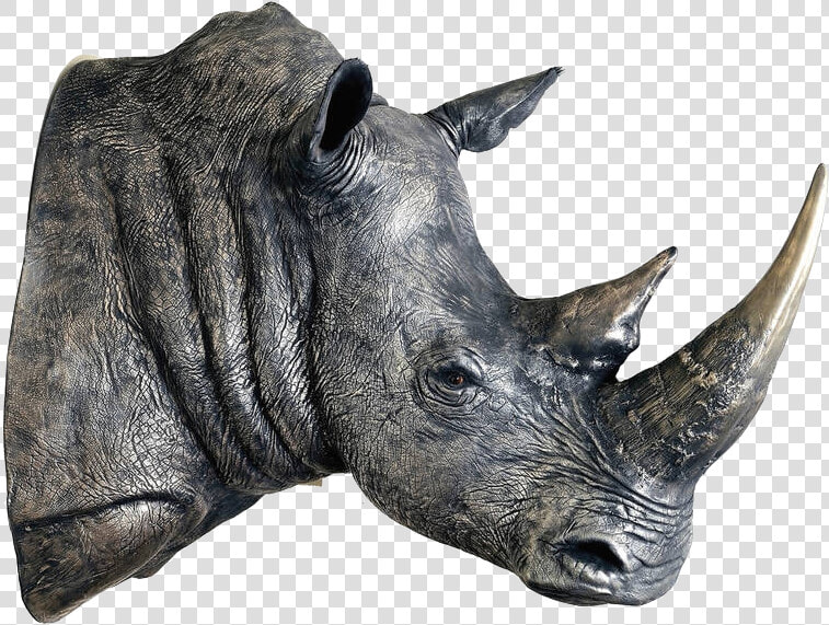 Rhinoceros Transparent Images   White Rhino Head Sculpture  HD Png DownloadTransparent PNG