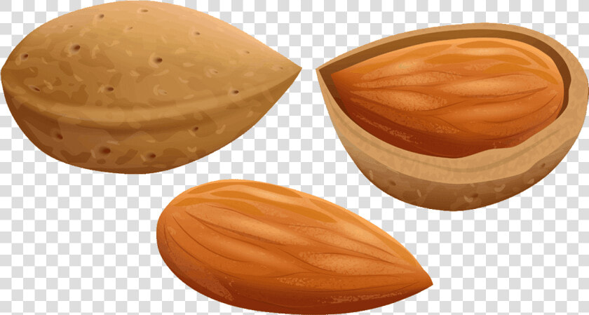 Almond Free To   Almonds Clipart  HD Png DownloadTransparent PNG