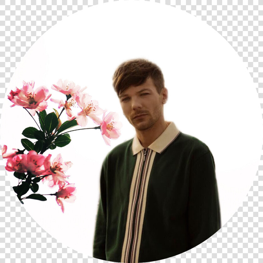 One Direction Clipart Louis Tomlinson   Louis Tomlinson  HD Png DownloadTransparent PNG