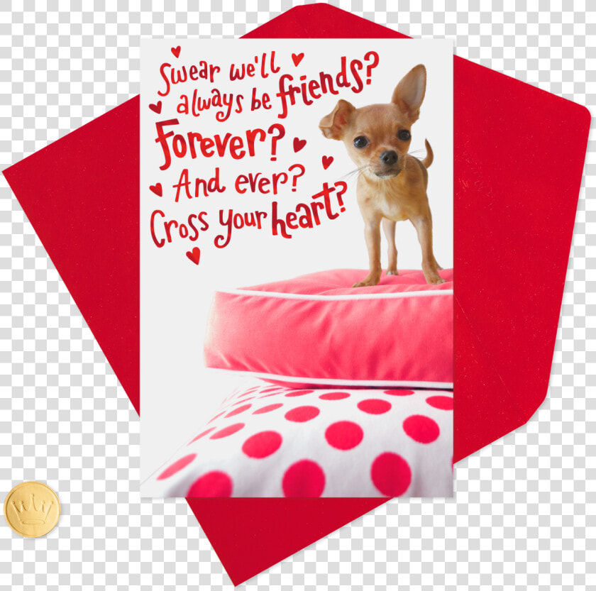 Chihuahua For My Forever Friend Valentine S Day  HD Png DownloadTransparent PNG