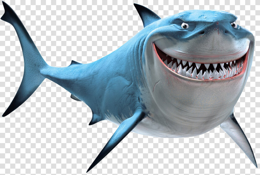 Shark Png Image   Finding Nemo Bruce  Transparent PngTransparent PNG