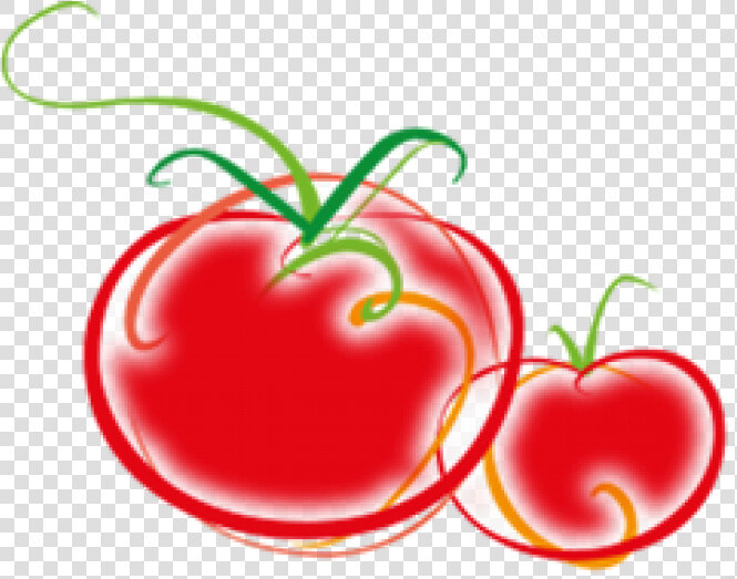 Logo Tomate   Png Download Clipart   Png Download   Logo Tomate Png  Transparent PngTransparent PNG