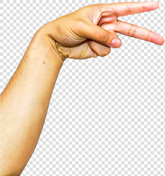 Arm Png Image Transparent Background   Arm Png  Png DownloadTransparent PNG