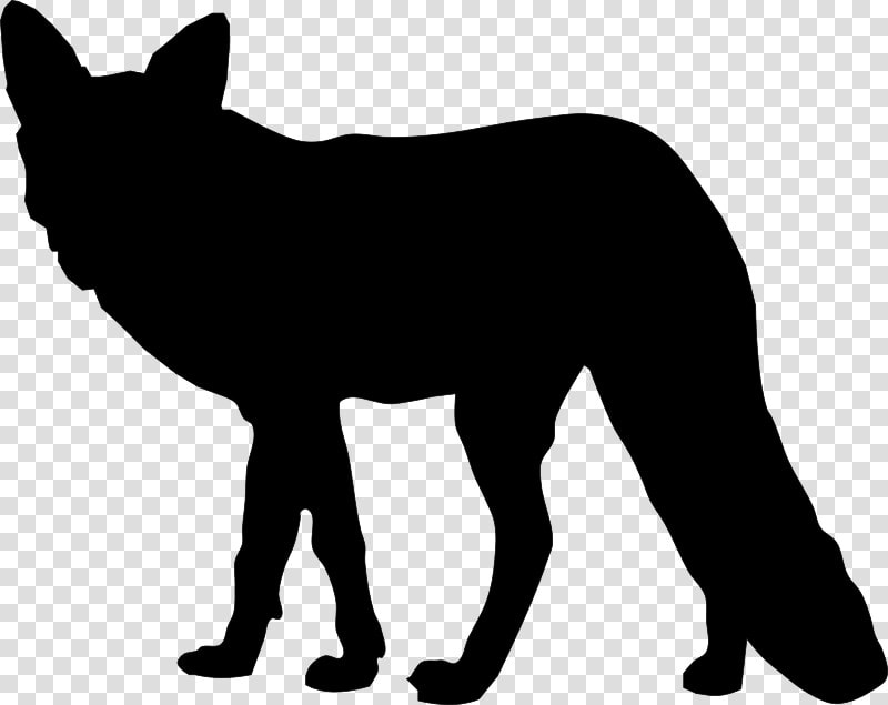 Silhouette Drawing Fox Clip Art   Fox Silhouette Png  Transparent PngTransparent PNG