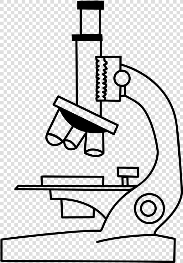 Collection Of Free Microscopes Drawing Label Clipart   Microscope Drawing  HD Png DownloadTransparent PNG