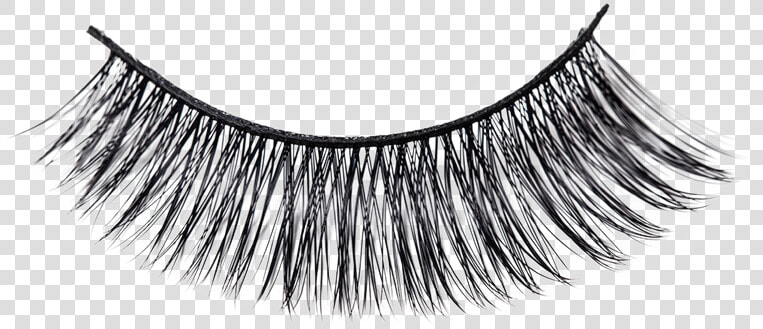 Cruelty free Eyelash Extensions Cosmetics   Free Eyelashes Transparent Background  HD Png DownloadTransparent PNG