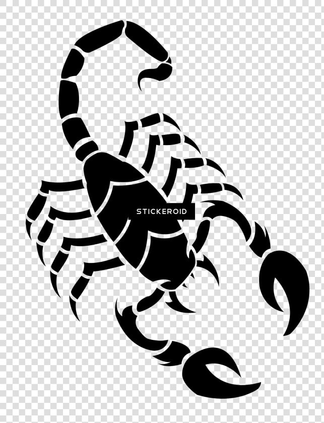 Scorpion Insects Scorpions  HD Png DownloadTransparent PNG