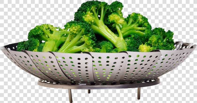 Broccoli Salad Png Image   Steamed Broccoli Transparent Background  Png DownloadTransparent PNG