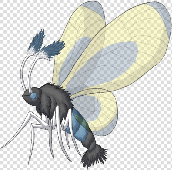 Drawing Insect Realistic   Realistic Bug Pokemon  HD Png DownloadTransparent PNG