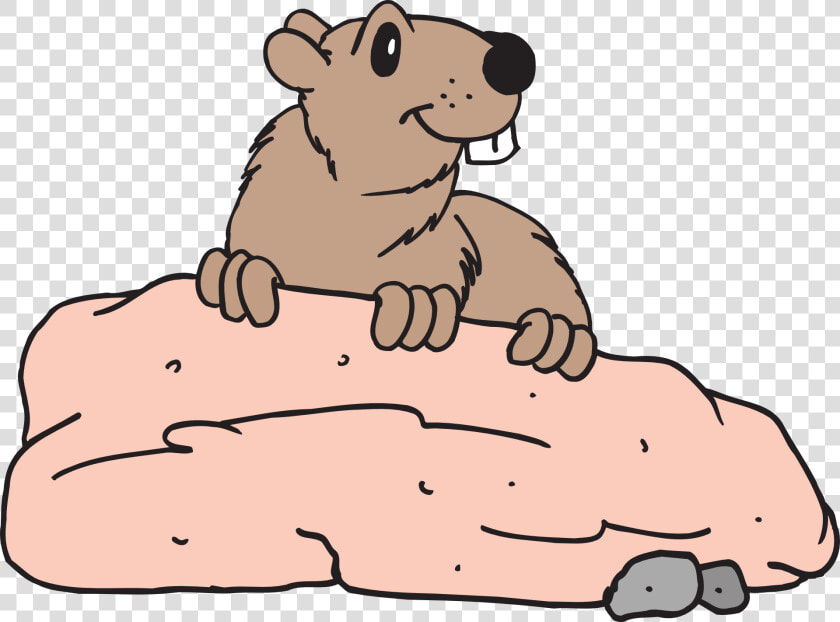 Transparent Groundhog Clipart   Clip Art  HD Png DownloadTransparent PNG