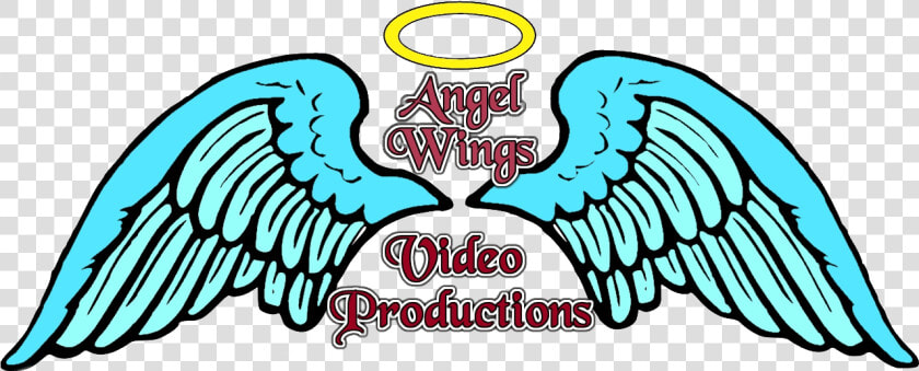 Angel Wings Video Productions   Angel Wings Clipart Png  Transparent PngTransparent PNG