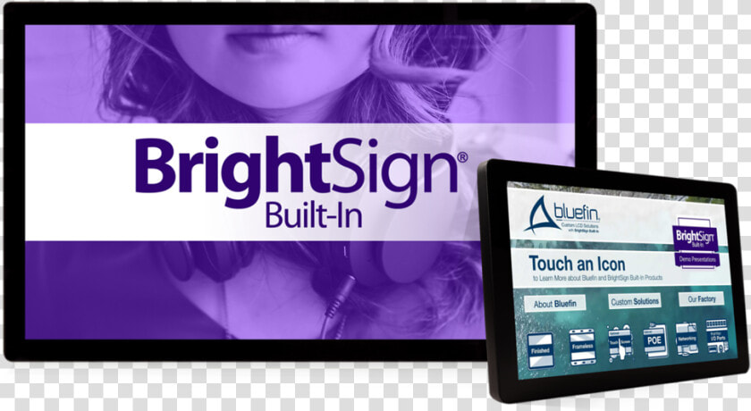 Bluefin Brightsign  HD Png DownloadTransparent PNG