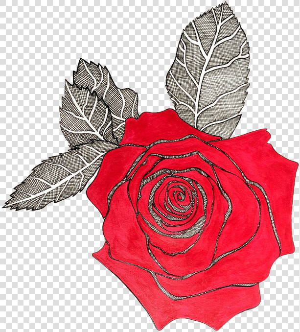 Red Rose With Black Lining  HD Png DownloadTransparent PNG