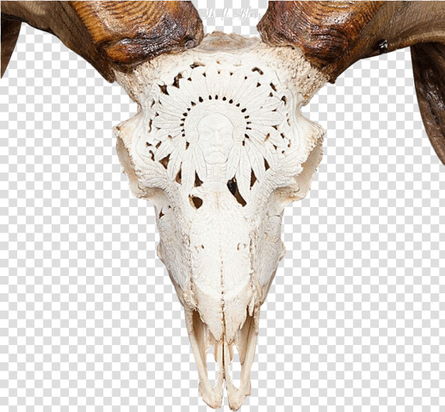 Carved Ram Skull   Ram Skull Png  Transparent PngTransparent PNG