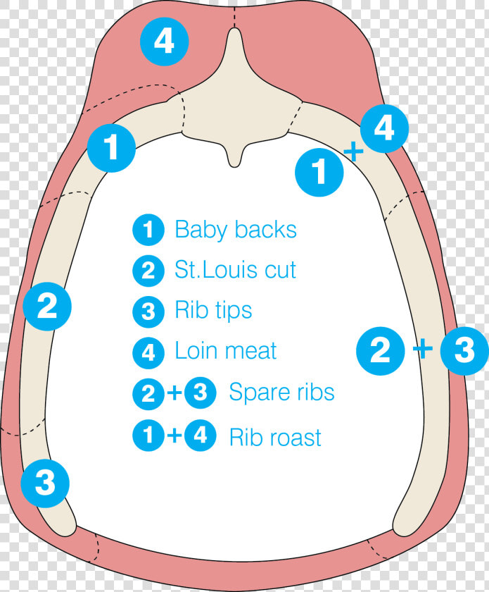 Spare Ribs Vs Baby Back Ribs  A Diagram   Pork Ribs Diagram  HD Png DownloadTransparent PNG