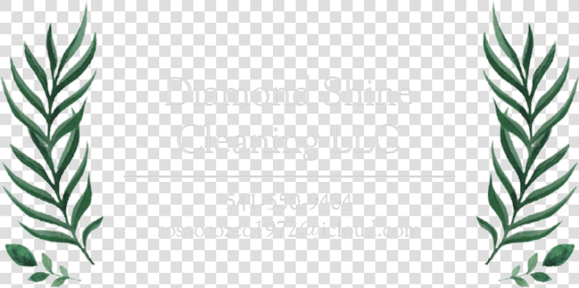 Diamond Shine Cleaning Llc   Illustration  HD Png DownloadTransparent PNG