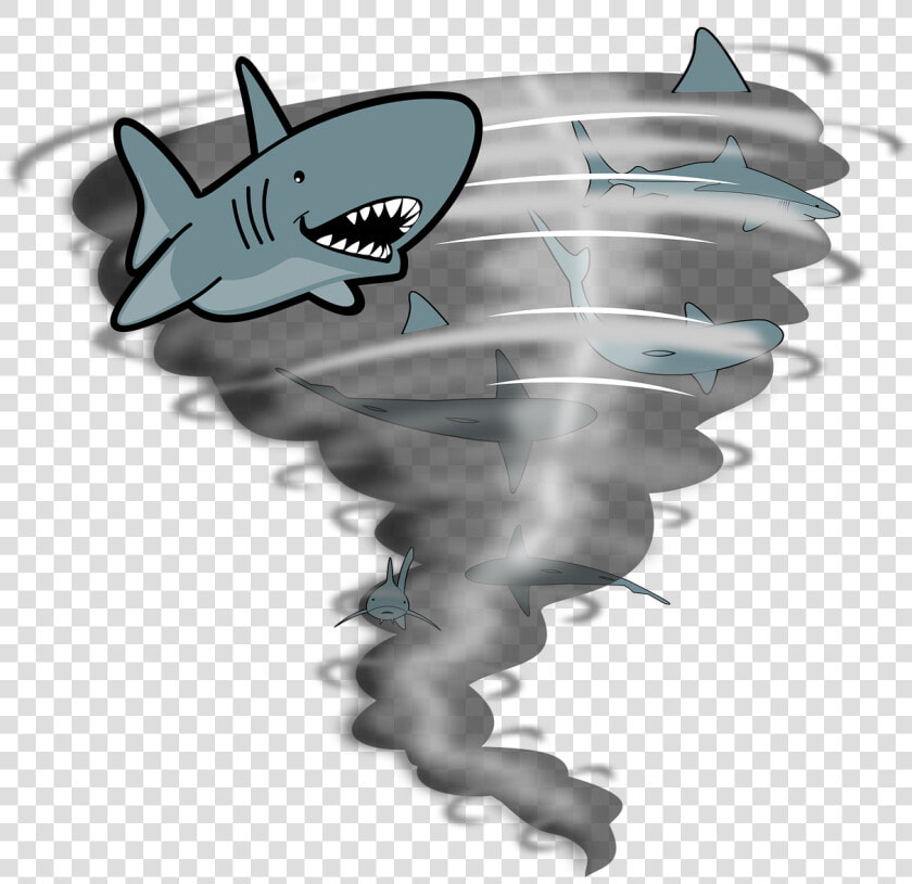 Tornado  Sharks  Weather  Storm  Fish  Rain  Dangerous   Tornado Silhouette  HD Png DownloadTransparent PNG