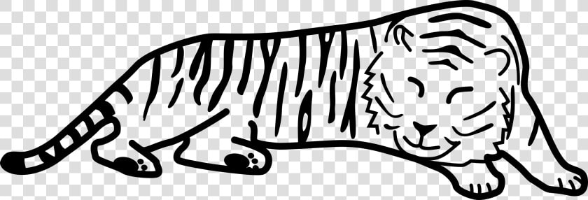 Tiger Black And White Sleeping Tiger Clipart Clipartfest   Tiger Cartoon Drawing Sleeping  HD Png DownloadTransparent PNG