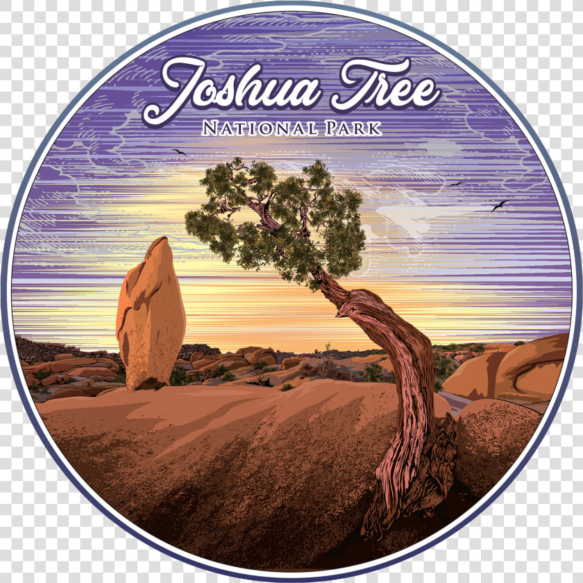 Joshua Tree Class Lazyload Lazyload Mirage Primary   Green Park  HD Png DownloadTransparent PNG