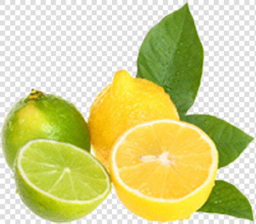 Lemon And Limes Clipart  HD Png DownloadTransparent PNG