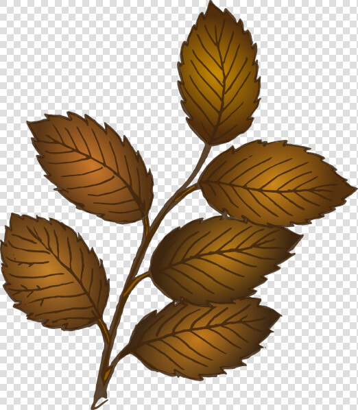 Fall Leaves Branch Clip   Leaves On Branch Clipart  HD Png DownloadTransparent PNG