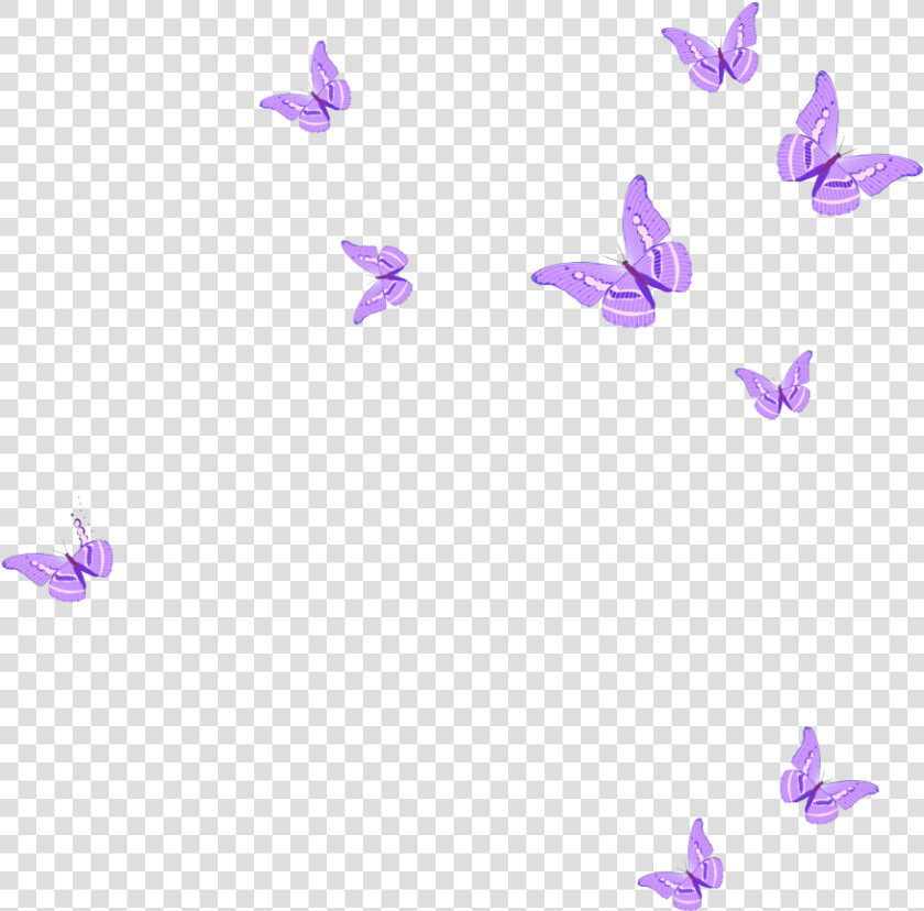 Pink Butterflies Png   Png Download   Pink Butterfly Png Clipart  Transparent PngTransparent PNG