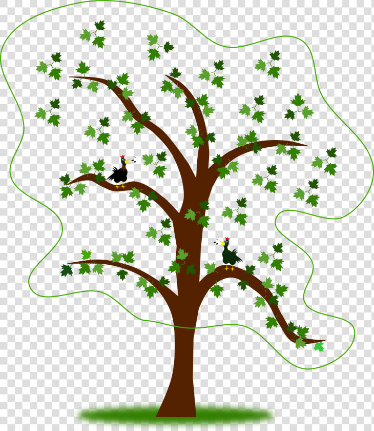 Please Give The Tree A Hug To Enter  HD Png DownloadTransparent PNG