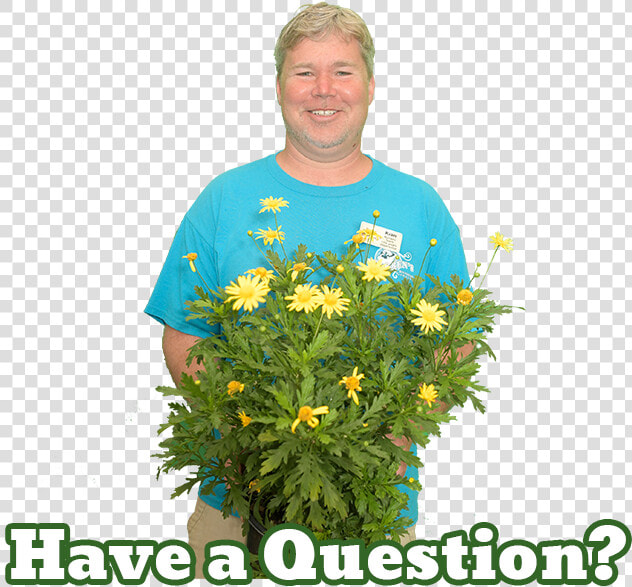 Kingwood Garden Center Expert   Warren  39 s Southern Gardens  HD Png DownloadTransparent PNG