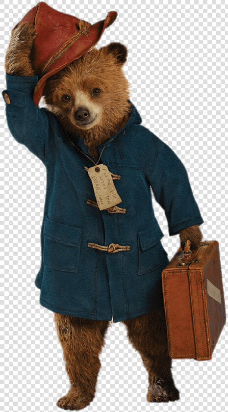 Paddington Bear Greeting   Paddington Bear From Movie  HD Png DownloadTransparent PNG