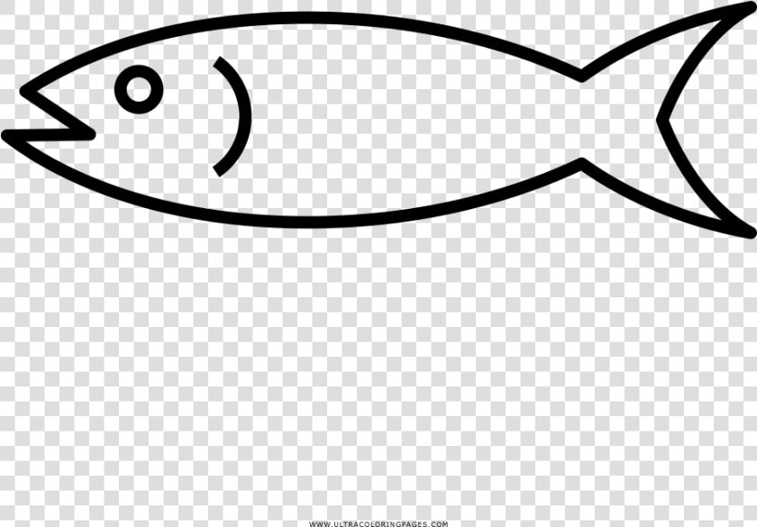 Pescados Para Colorear Png  Transparent PngTransparent PNG