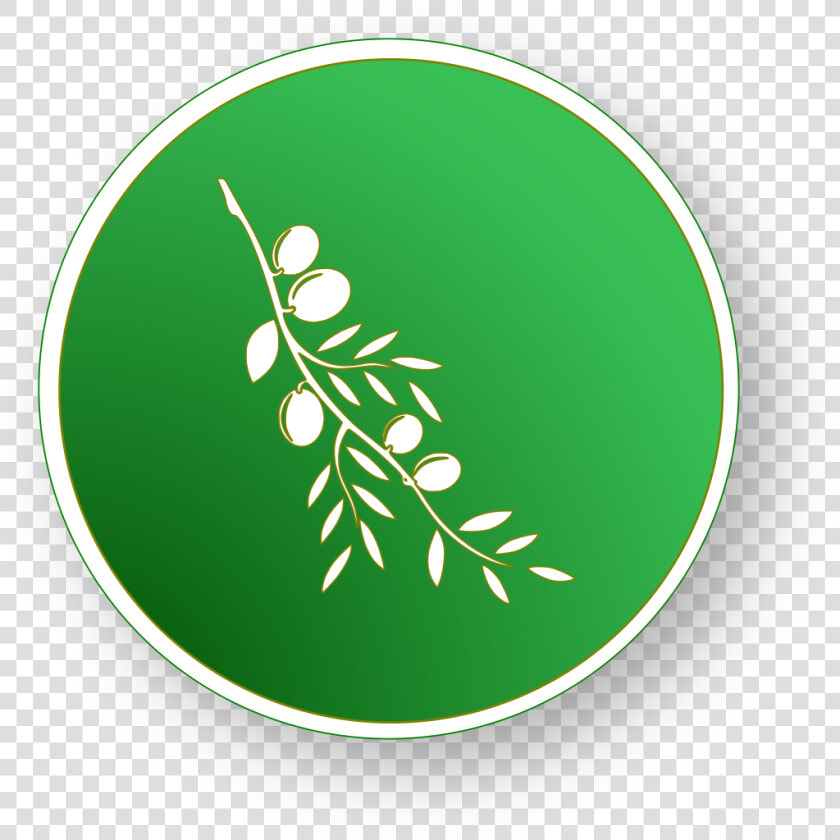 Olive   Circle   Olive Video Editor Icon Svg  HD Png DownloadTransparent PNG