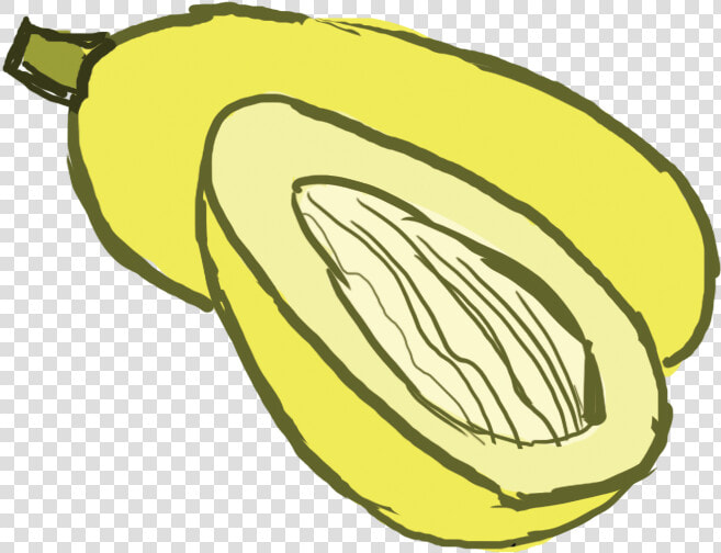 Collection Of Squash   Spaghetti Squash Clip Art  HD Png DownloadTransparent PNG