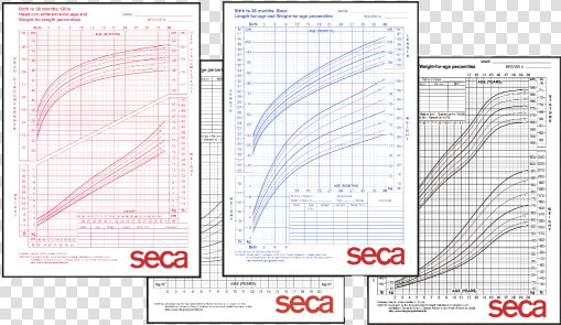 Seca Growth Chart For Boys 2 20 Years   Paper  HD Png DownloadTransparent PNG