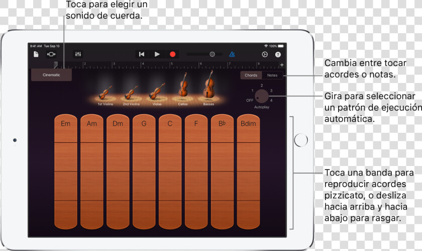 Instrumento Táctil Cuerdas   String Instrument  HD Png DownloadTransparent PNG