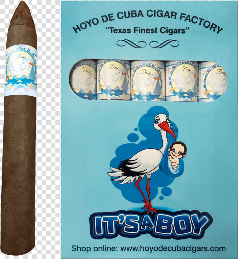 It S A Boy Torpedo Cigars Box   Cartoon  HD Png DownloadTransparent PNG