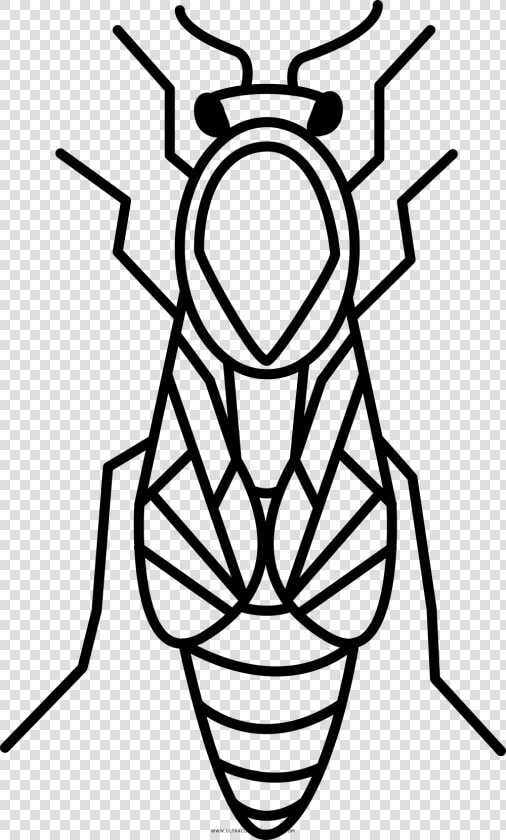 Queen Bee Coloring Page   Queen Bee Colouring Pages  HD Png DownloadTransparent PNG