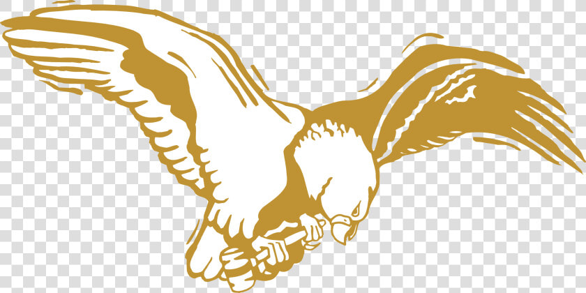 Eagle  Bird  Gold  Wings  Feathers   Golden Eagle Png Transparent Background  Png DownloadTransparent PNG