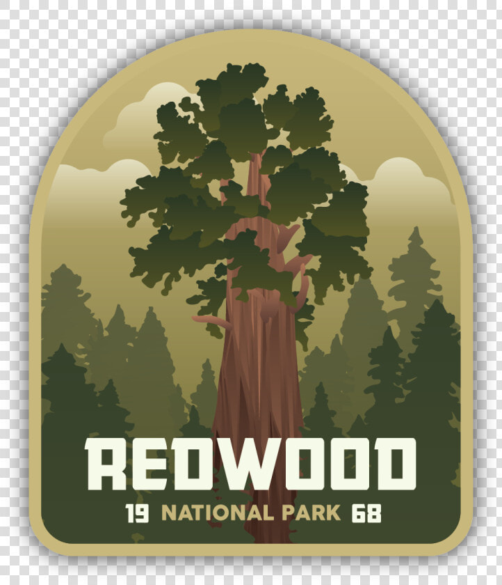 Redwood National Park Sticker   Gambel Oak  HD Png DownloadTransparent PNG