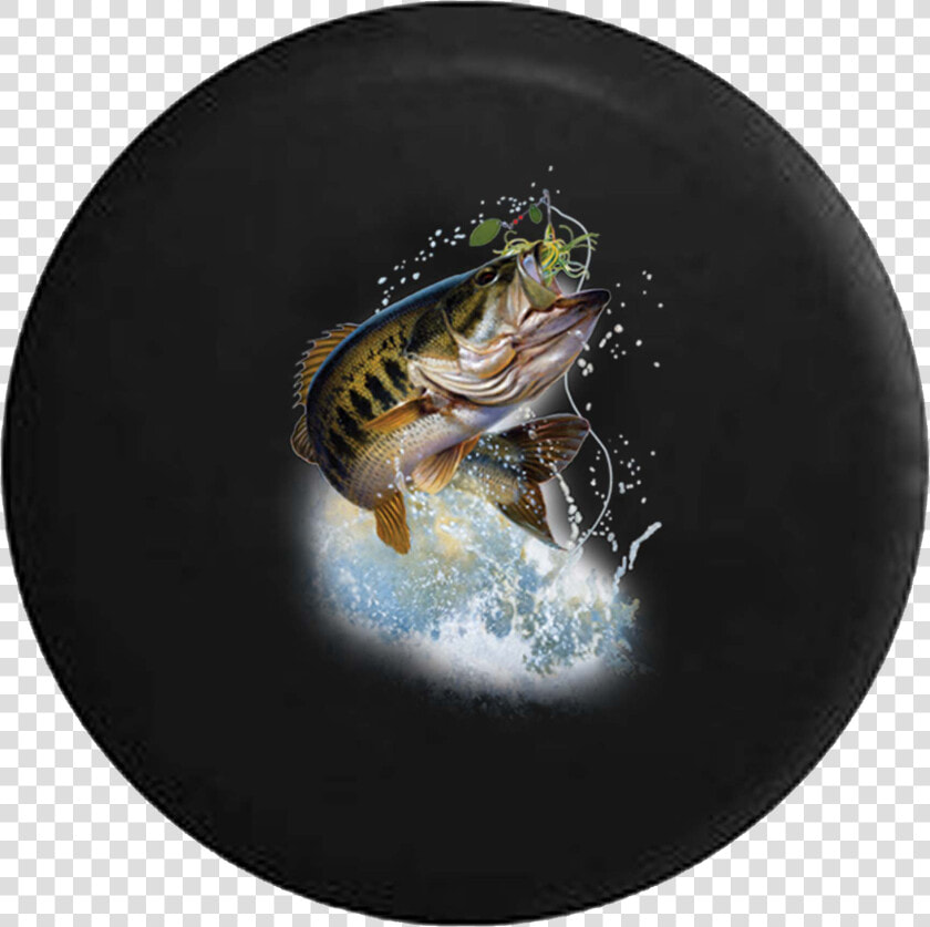 Jumping Fish Fishing Lure Lake Large Mouth Bass Jeep   Circle  HD Png DownloadTransparent PNG