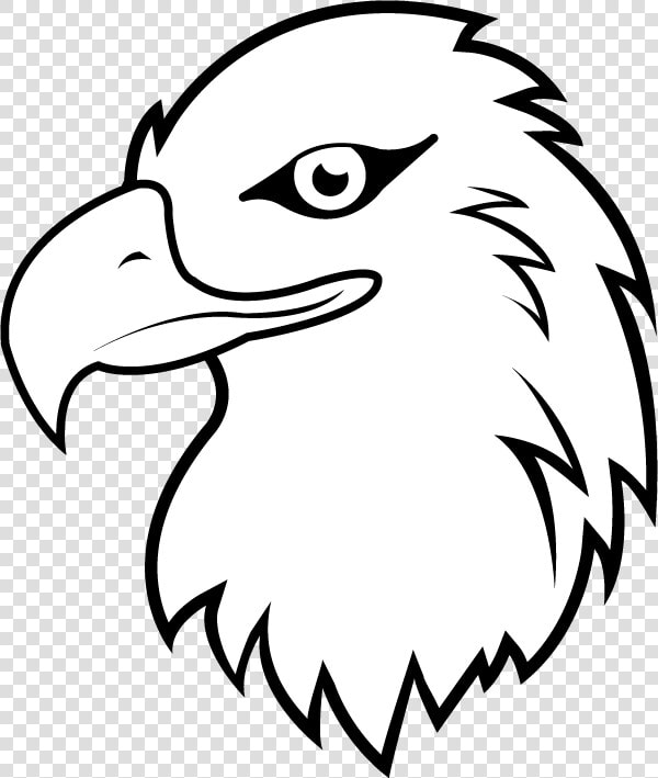 Transparent Eagle Clipart   Eagle Clipart Black And White  HD Png DownloadTransparent PNG