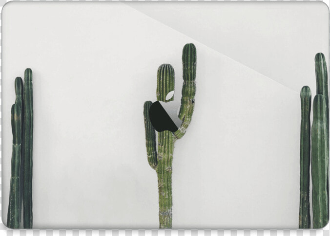 Mexican Cactus Skin Macbook Pro 13” 2016    San Pedro Cactus  HD Png DownloadTransparent PNG