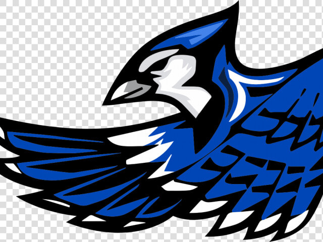 Blue Jay Clipart Mascot   Snook Bluejays  HD Png DownloadTransparent PNG