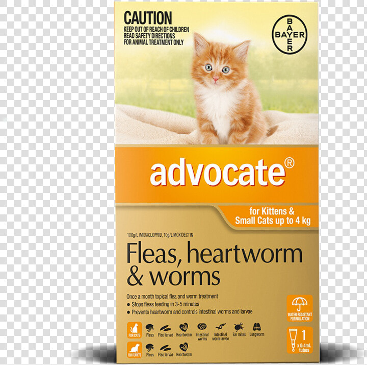 Advocate Cat Flea Treatment  HD Png DownloadTransparent PNG