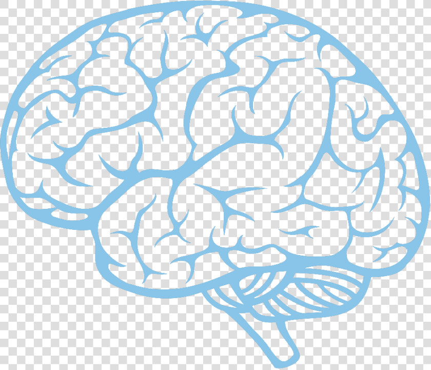 Transparent Brain Clip Art   Cartoon Brain Clipart Transparent Background  HD Png DownloadTransparent PNG