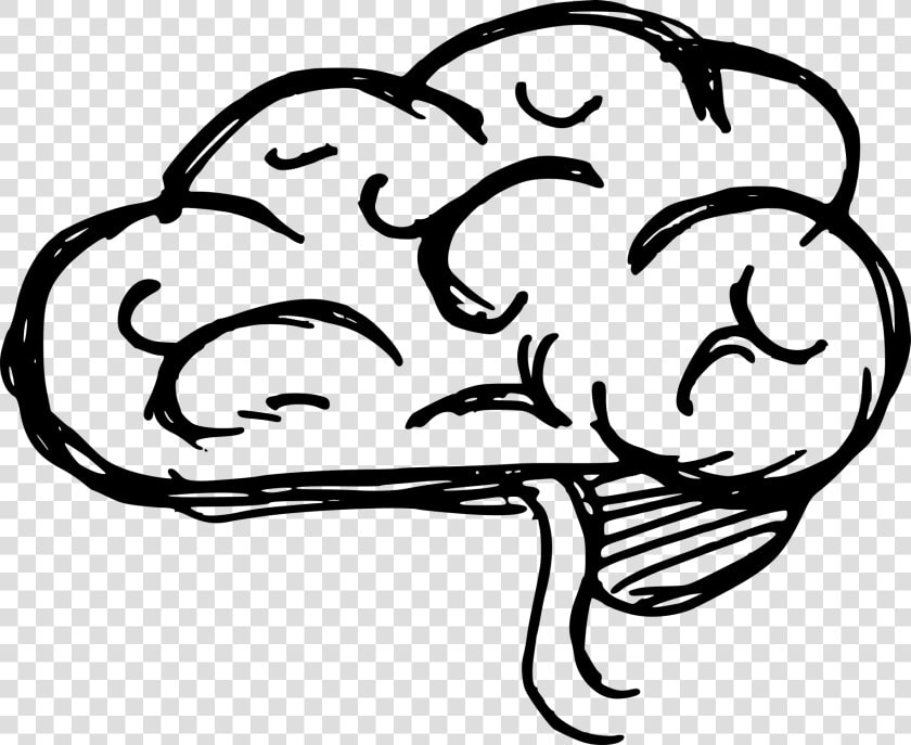 Brain Clipart Drawing   Cartoon Drawings Of A Brain  HD Png DownloadTransparent PNG