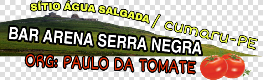  tomate   Atenas De San Carlos  HD Png DownloadTransparent PNG