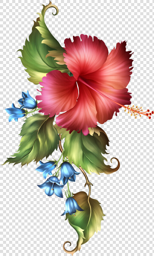 Fashionably Florale Hoe  Simply Beautiful  Flora  Frames    Cuadro De Pinturas Png  Transparent PngTransparent PNG